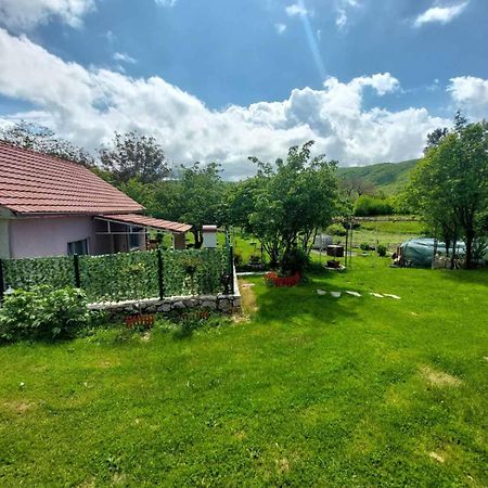 Village Flower Ivy Montenegro Niksic Ngoại thất bức ảnh